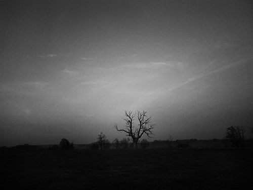 Gironde, 2007